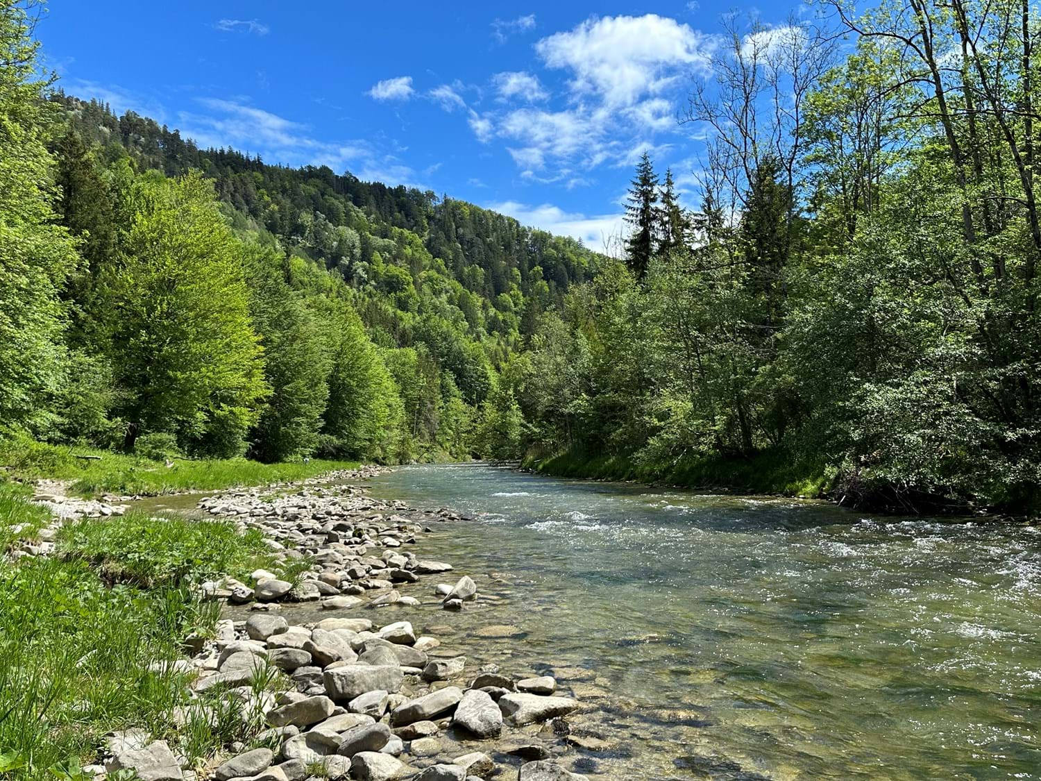 Ammerschlucht